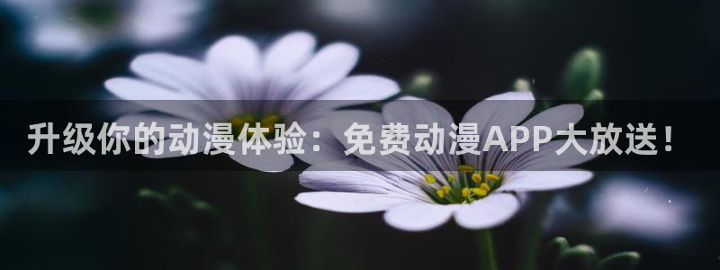 囧次元app：升级你的动漫体验：免费动漫APP大放送！