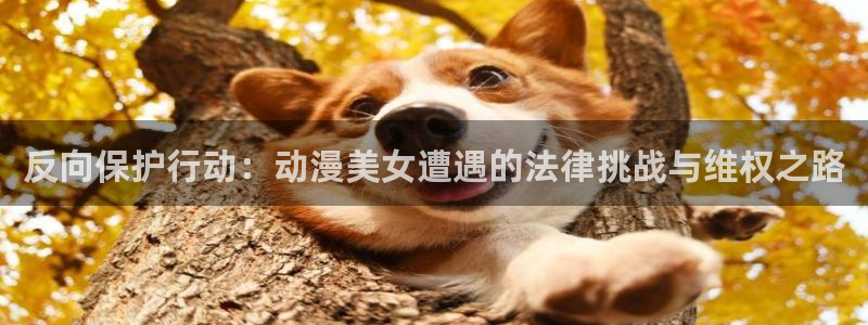 囧次元下载免费版：反向保护行动：动漫美女遭遇的法律挑战与维权之路