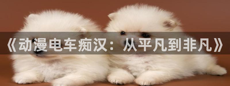 囧次元在线看：《动漫电车痴汉：从平凡到非凡》